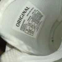 کفش نایک سفید|کیف، کفش، کمربند|مشهد, آزادشهر|دیوار