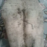 چغندرقند درجه یک تحویل سرزمین 8 تومان