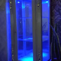 دوعددبوفه نونو ورق طلا