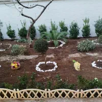 خدمات باغبانی احمدی سرویس درتمام نقاط تهران