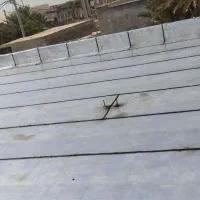 نمایندگی ایزوگام شرق.کنگان عسلویه|خدمات پیشه و مهارت|بندر کنگان, |دیوار