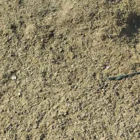 ارسال کوت حیوانی به سراسرکشور|خدمات باغبانی و درختکاری|زاغه, |دیوار