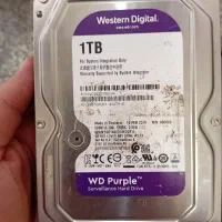 هارد ۱ بنفش وسترن