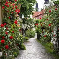 آگهی استخدام نگهبان شبانه‌روزی باغ