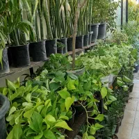 اجاره سوییت ویلا وباغ حومه تهران|استخدام سرایداری و نظافت|تهران, تهرانپارس شرقی|دیوار