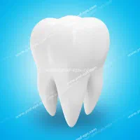 جذب کارآموز در لابراتور دندانسازی