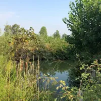 فروش-200-متر-زمین-جزیره-دکتر-بهشتی