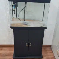 آکواریوم شرکتی DELSA