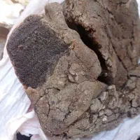 استفراغ نهنگ عنبر ونهنگ شهب