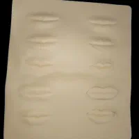 دستگاه تتو پیچی شارمر اصل وپوست مصنوعی تتولب|آرایشی، بهداشتی، درمانی|اهواز, گلدشت|دیوار