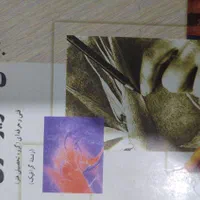 کنکور رشته هنر|کتاب و مجله آموزشی|بیرجند, |دیوار