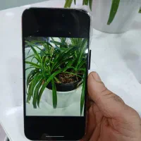 ایفون ۱۵ پرمکس