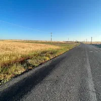 زمین-طلاب-فروش