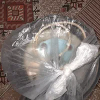 سبزی خوردکن|خردکن، آسیاب، غذاساز|شیراز, اصلاح‌نژاد|دیوار