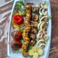 به یک شاطر در نان داغ کباب داغ نیازمندیم