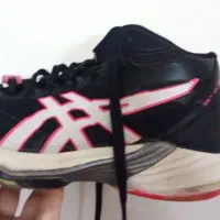 کفش والیبال