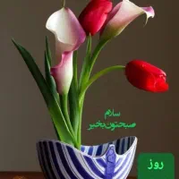 همکار در کیک صبحانه