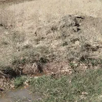 فروش زمین در روستای سیاوش آباد به متراژ ۵۰۰متر|فروش زمین و ملک کلنگی|ازنا, |دیوار