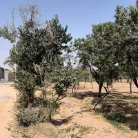 فروش زمین بوستان زندگی شرقی قابل تقسیم به دو پلاک|فروش زمین و ملک کلنگی|نجف‌آباد, دفاع مقدس|دیوار