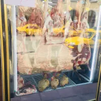 پخش عمده گوشت مرغ ماهی