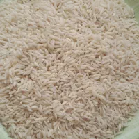 برنج طارم هاشمی