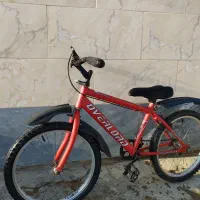 دوچرخه|دوچرخه، اسکیت، اسکوتر|گنبد کاووس, |دیوار