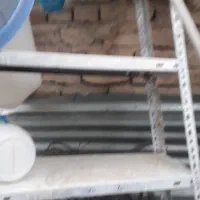 قفسه موجود میباشد|کتابخانه، شلف، قفسه‌های دیواری|قوچان, |دیوار