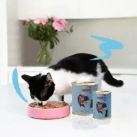 بازاریاب فروش غذای کنسروی حیوانات خانگی(سگ و گربه)