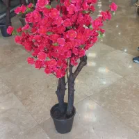 گل مصنوعی شکوفه|گل مصنوعی|گرگان, |دیوار