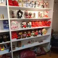 فروش عروسک  و گل باکس