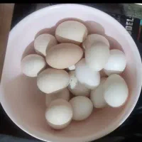 تخم مرغ محلی