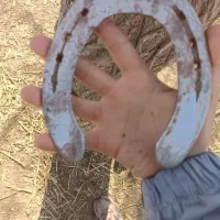 نعل|اسب و تجهیزات اسب‌سواری|نظرآباد, نظرآباد|دیوار