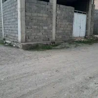 زمین-100-متری-هشتگرد-قاسم-آباد-بزرگ