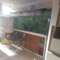 آکواریوم. شیشه 15