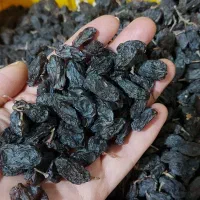 فخری و کشمش