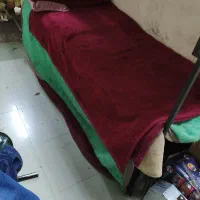 همخانه-میشم