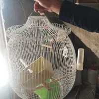 تعدادی وسایل اضافه منزل