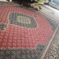 9متری سالم