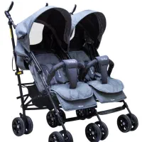 کالسکه دوقلویی دلیجان