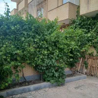فروش-اپارتمان-درلاهیجان-خسرو-شاه