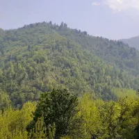 خانه اجازه دل جنگل با قیمت مناسب|اجارهٔ کوتاه‌مدت ویلا و باغ|ماسال, |دیوار