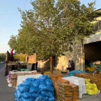 کشمش بیدانه مویز فخری حلوایی  چرخشده