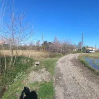 987متر-زمین-مسکونی-شفت-احمدسرگوراب-کوچه-تختی