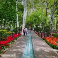 فروش-باغ-در-جهاد-آباد