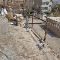 سه عددطوقی یکیش گاکلیه  دوتاش تاج دارهمدانی|پرنده|مشکین‌دشت, |دیوار