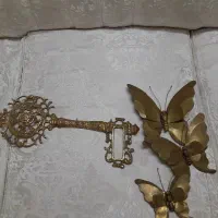 جاکلیدی .پروانه برنجی سالم