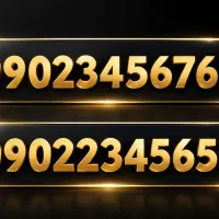 شماره فقط بشمار