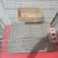 قفس پرنده.م