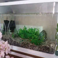 آکواریوم شیشیه خم درحدنو