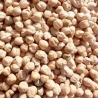 نخود گریت تازه عمده و جزیی فروش حبوبات دیگه موجوده